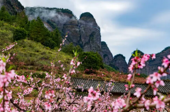 丹江口熱門賞花踏青景點