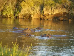Hwange National Park
