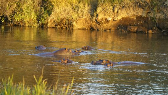 Hwange National Park