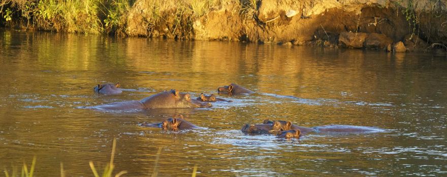 Hwange National Park