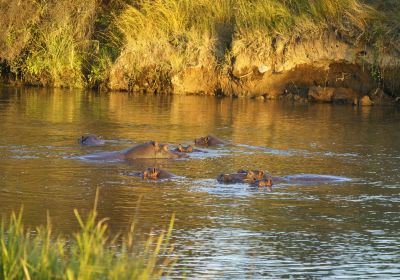 Hwange National Park