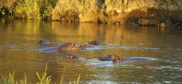 Hotels in Hwange