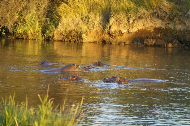 Hwange National Park