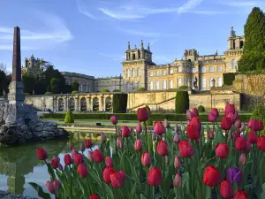 Blenheim Palace