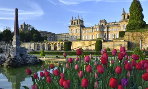 Blenheim Palace