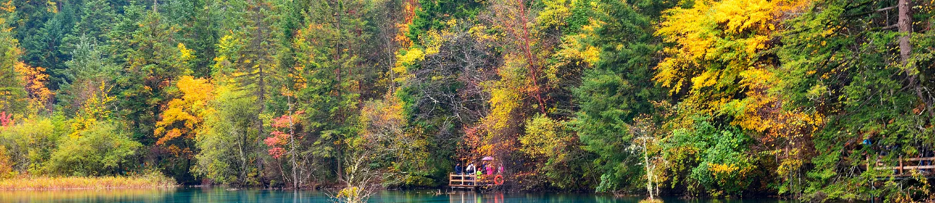 Attrazioni per la visione autunnale