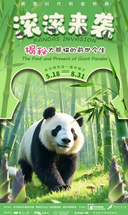 《滾滾來襲：揭祕大熊貓的前世今生》熊貓時代科普特展 | 常州博物館