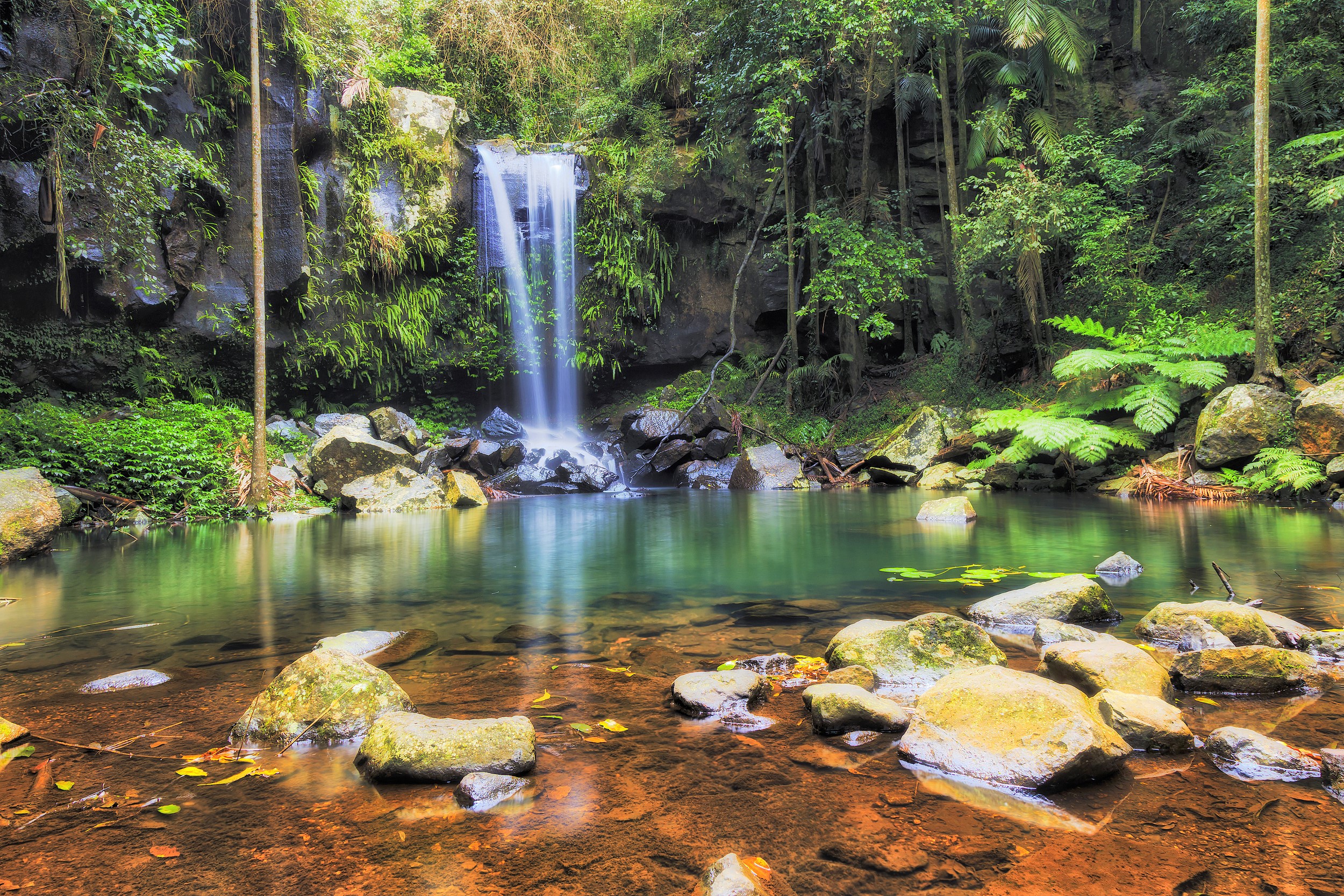 Tamborine National Park Tickets [2025] Promos, Prices, Reviews