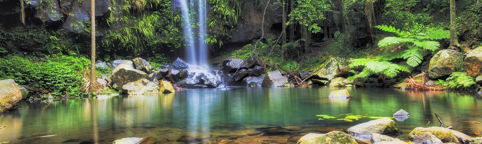 TamborineTours