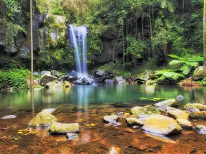Tamborine National Park