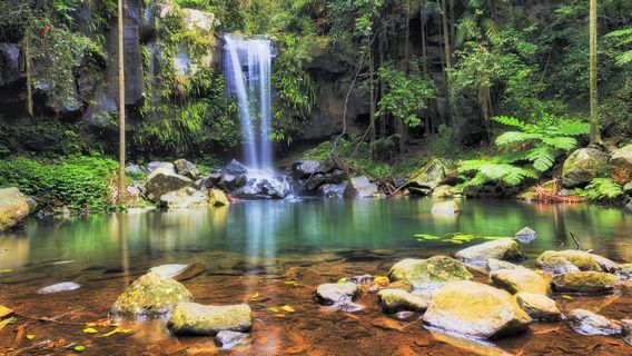 Tamborine National Park