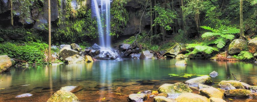 Tamborine-Nationalpark