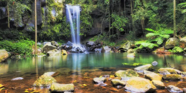 坦伯林國家公園