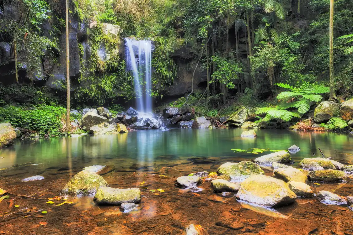 Hotels near Tamborine National Park