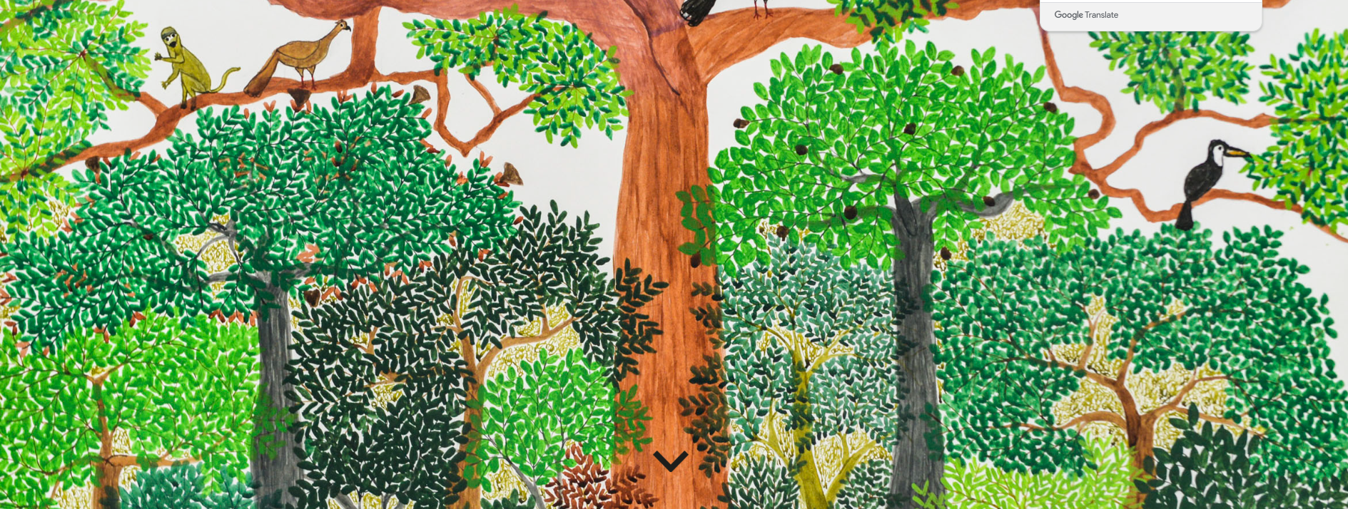 Abel Rodríguez — Mogaje Guihu: The Tree of Life and Abundance | Museum of Art of São Paulo Assis Chateaubriand