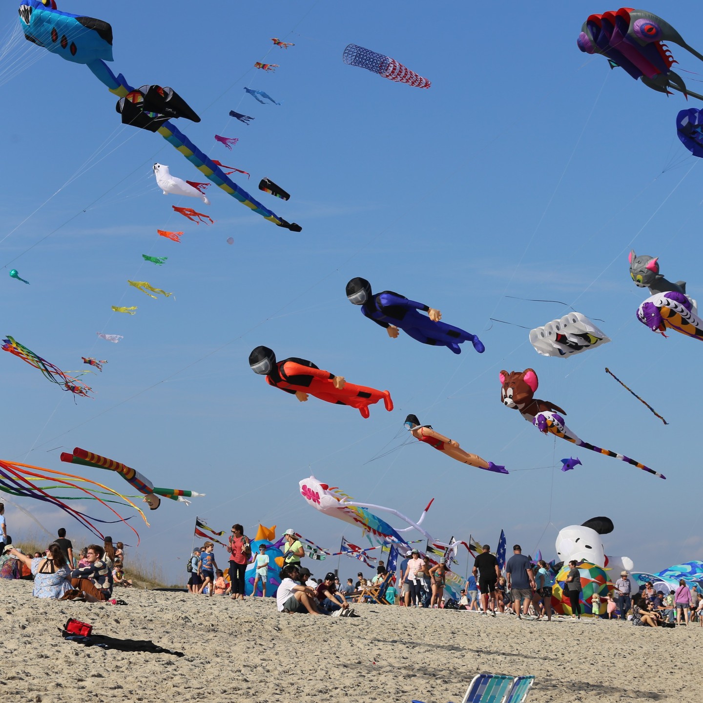 ISSO Kite Flying Festival | Houston