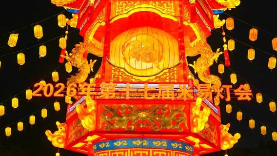 The 17th Miyi Lantern Festival