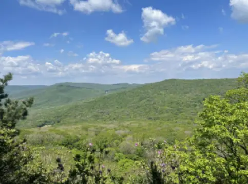 Jinlong Mountain National Forest Park