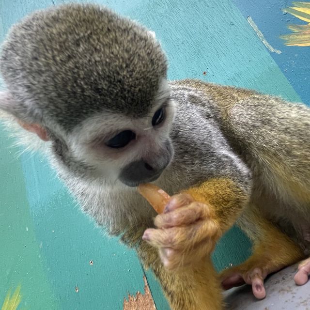 【北海道】日本一危険な動物園！