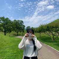 [여름여름한 경주 대릉원]