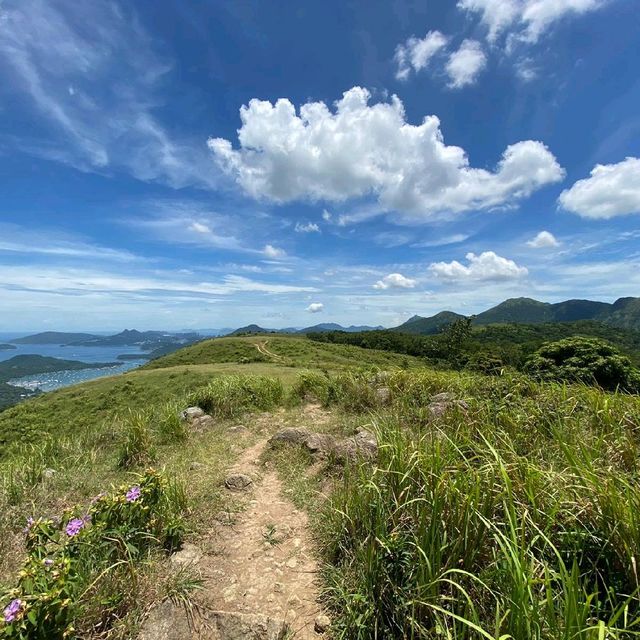 西貢與馬鞍山之間的大金鐘，風景優美，沿路鳥語花香，有山有水