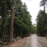 beautiful kalam swat