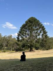 Murray Clewett Wetlands - (Kearneys Spring) ##