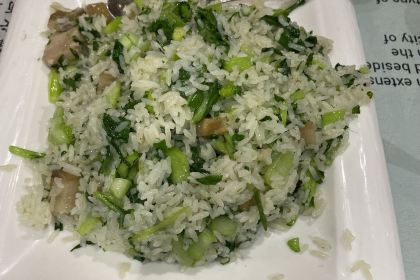 Shanghai You Garden 上海豫园