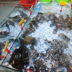 阿里元餐厅·海鲜闽菜(环岛路曾厝垵店) User Photo