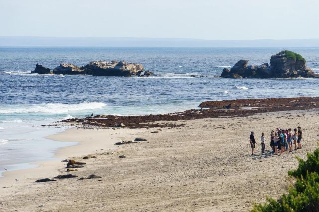 Seal Bay