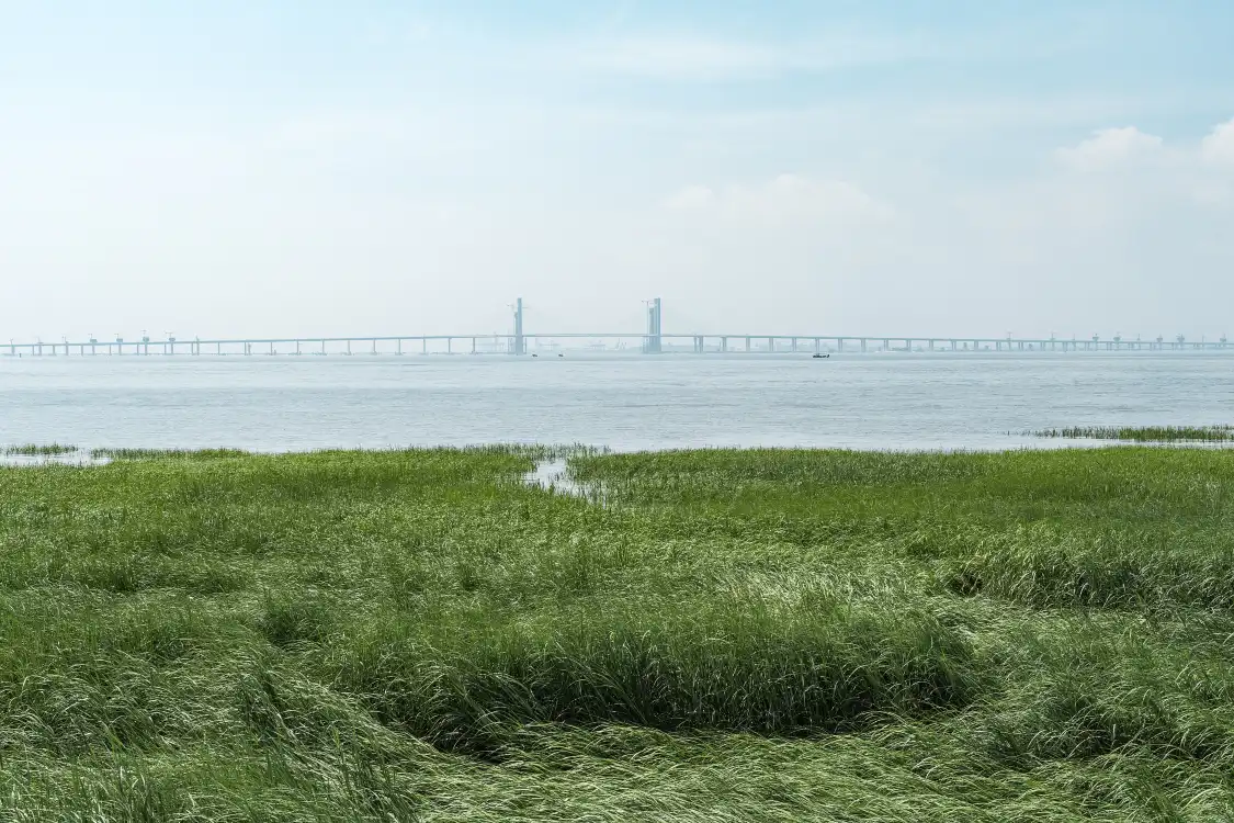 Hotels near Binhai Park