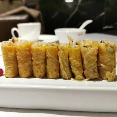 Transformer Fitzroy張用戶圖片