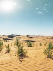 Yinkentala Desert Eco-cultural Tourist Area