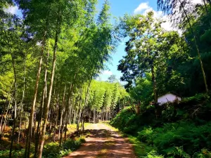Shen Nong Gu National Forest Park