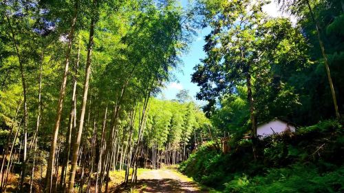 Shennong Valley National Forest Park