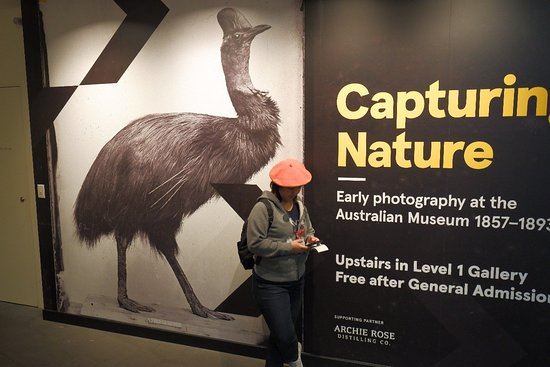 Western Australian Museum-Perth