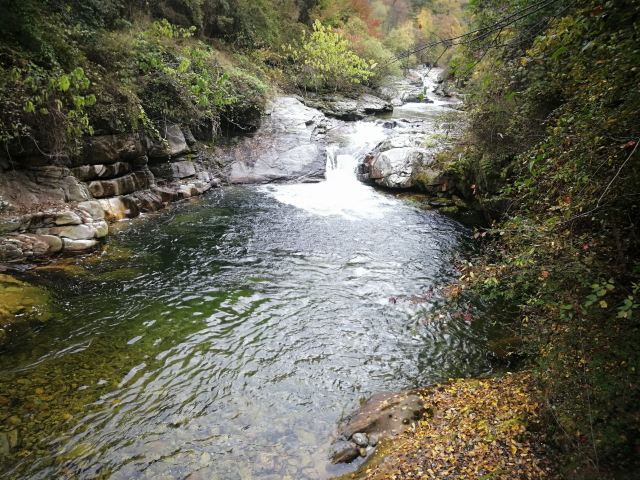 黃柏原