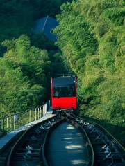 Nanshan Bamboo Sea Tram