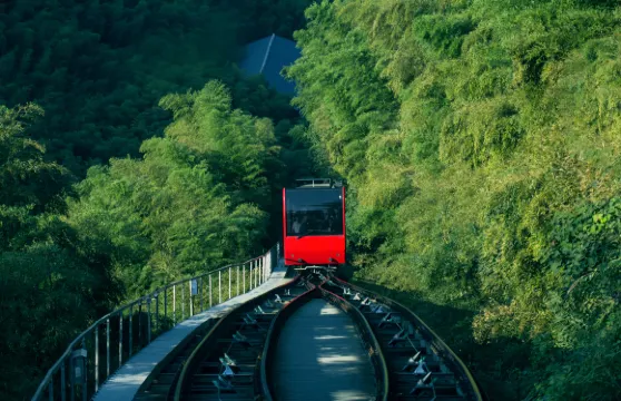 天目湖南山竹海景區門票+單程小火車+雙程（熊貓地軌+架空索道）成人