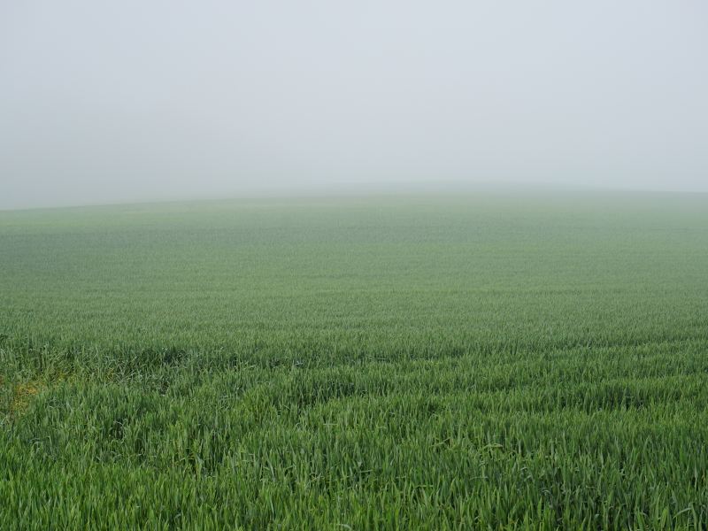 Nanni River Hanging Grassland