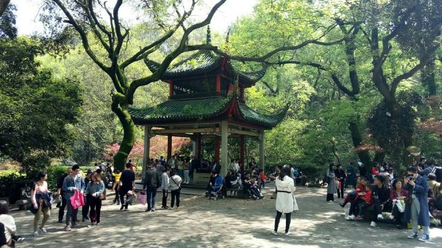Autumn-Admiring Pavilion