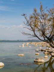 สวนสนุกชายหาดชายฝั่งใต้ของซิงคิง