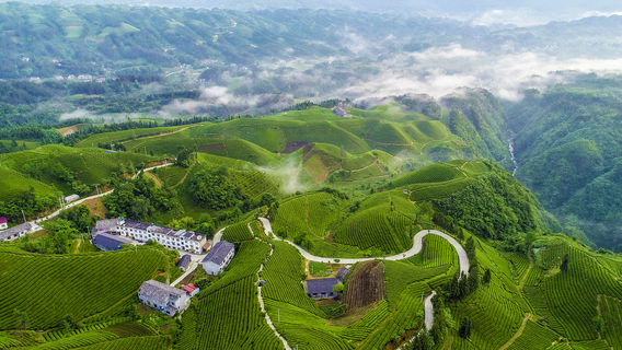 Hefeng