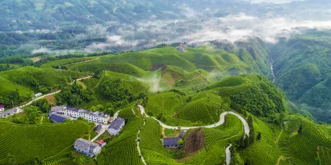 木耳山