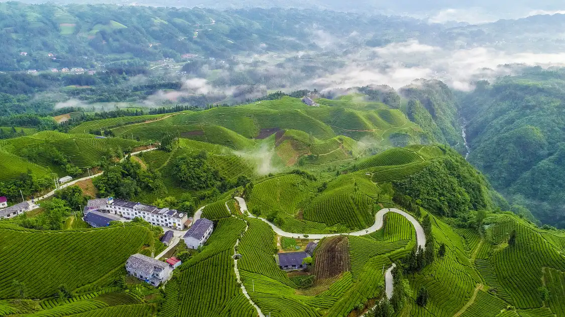 Hotels near Mu'er Mountain