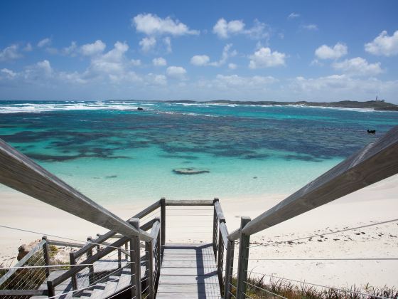 Rottnest Island