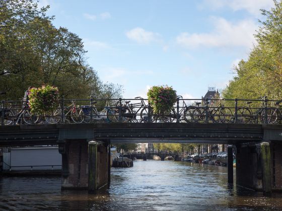 Canals of Amsterdam