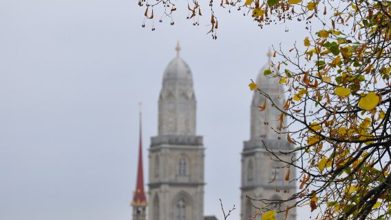 ETH Zurich + Old Town Zurich + Zurich Botanical Garden + University of Zurich