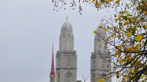 ETH Zurich + Phố cổ Zurich + Vườn bách thảo Zurich + Đại học Zurich