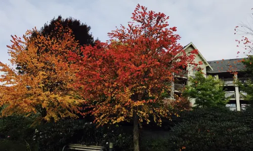 UBC Botanical Garden
